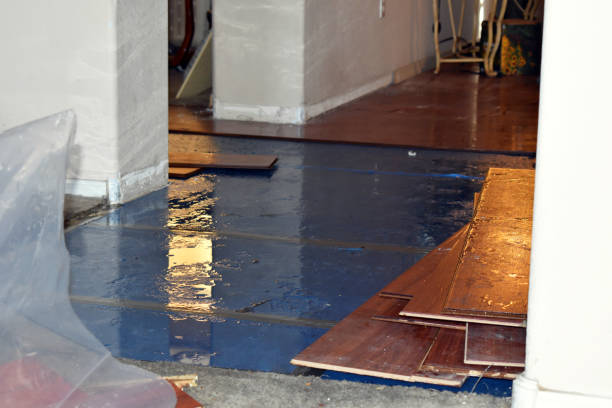 Professional Emergency Water Damage Restoration technician working in Poynor, TX